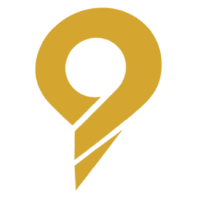 9 Way Cabs Emblem